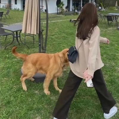 礼貌社会